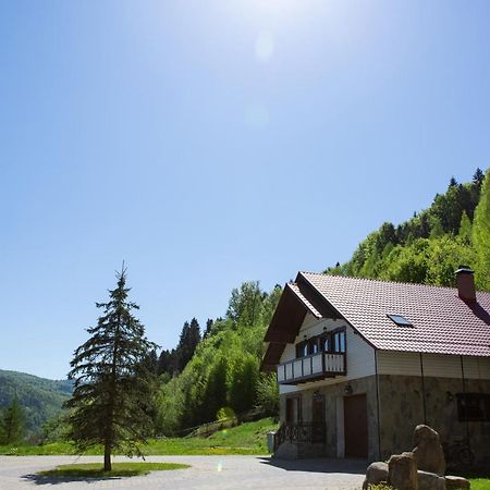 Вилла Kamyanka Яремча Экстерьер фото