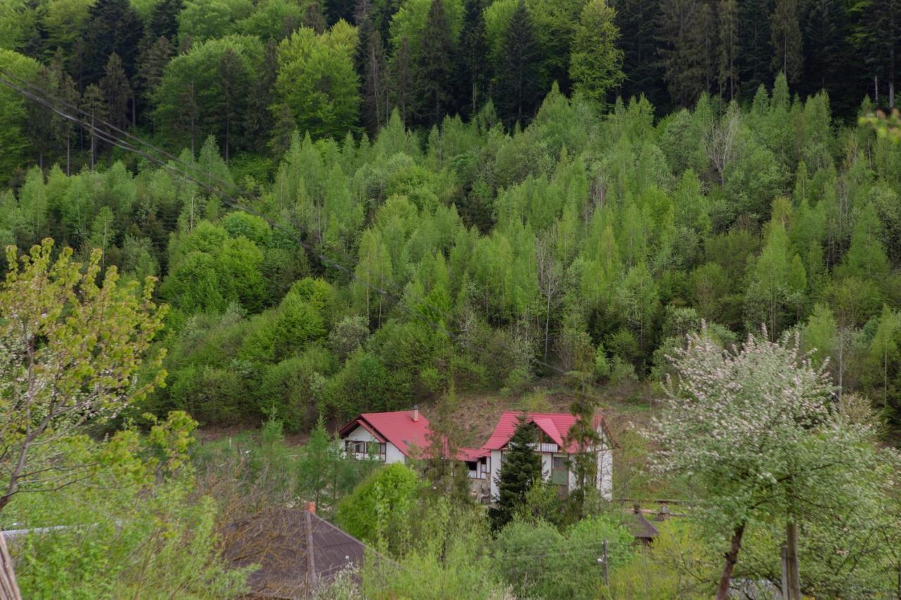 Вилла Kamyanka Яремча Экстерьер фото